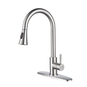 Kitchen Faucet with Pull Out Spraye